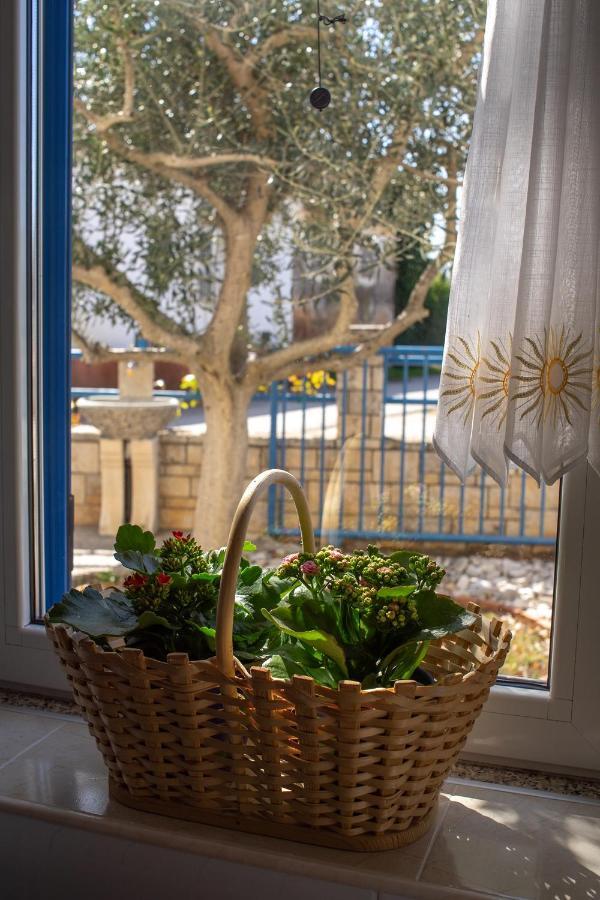 Olive Tree Apartments Umag Buitenkant foto
