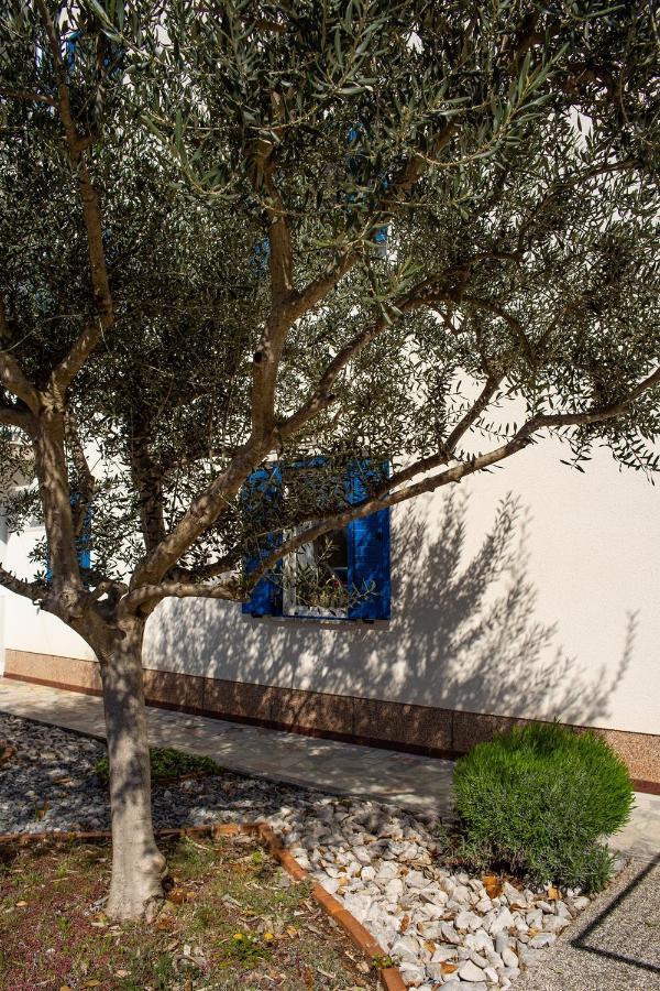 Olive Tree Apartments Umag Buitenkant foto