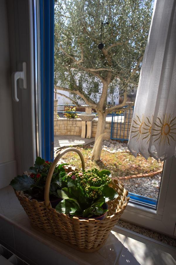 Olive Tree Apartments Umag Buitenkant foto